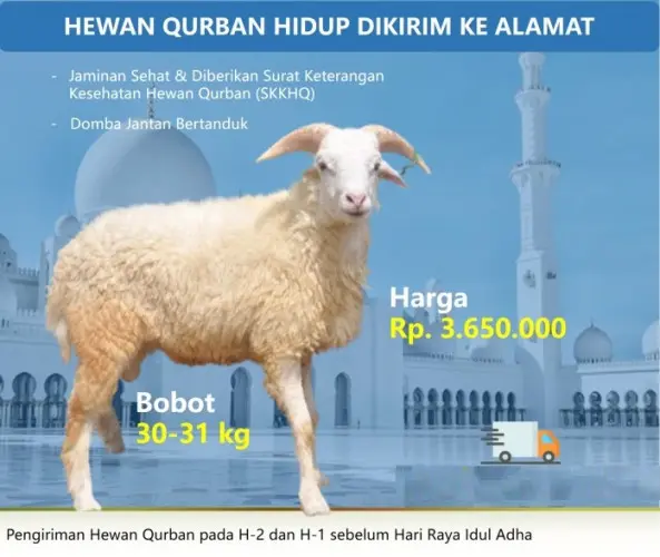 Kurban - Qurban Domba  ciwandan