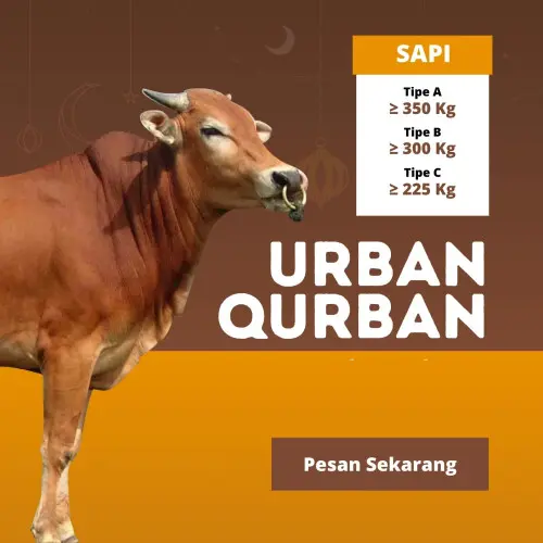 Kurban - Qurban Sapi  ciwandan